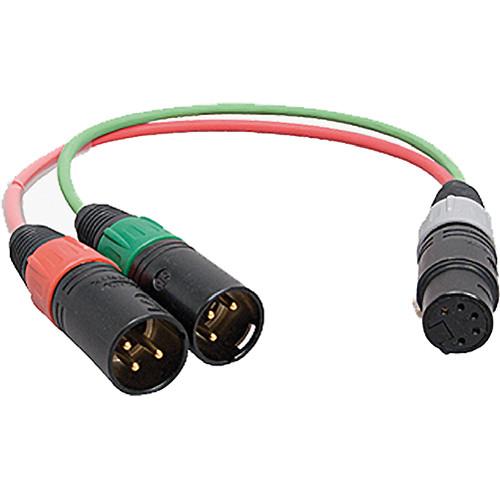 Ambient Recording SKA XLR-5 Female to Two XLR-3 Male Red Green Stereo Adapter Cable