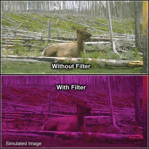 Tiffen 5.65 x 5.65" 3 Plum Solid Color Filter