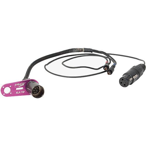 Ambient Recording SKA-XLL Double-MS XLR-3F 2 LEMO Triax to XLR-7M Cable Adapter