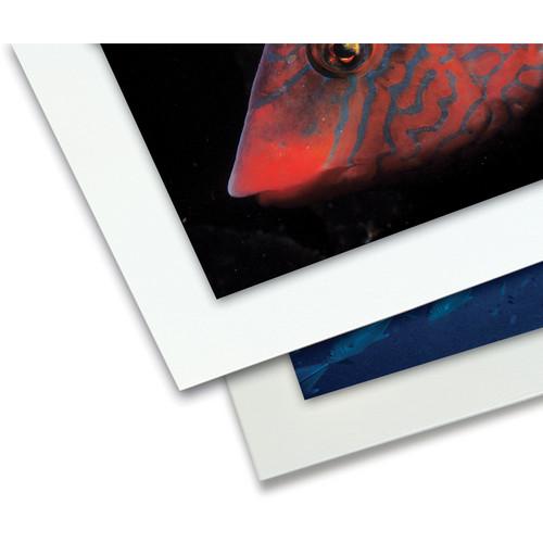 Print File 14 x 17" Conservation Boards