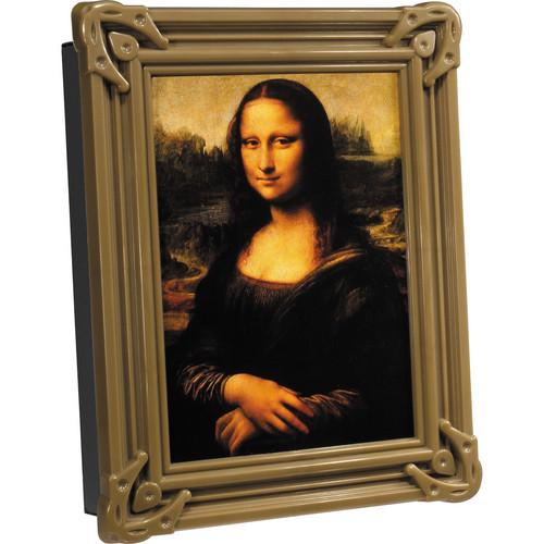 Barska Picture Frame with Combination Lock