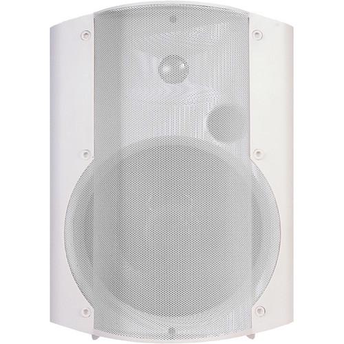 OWI Inc. Low-Voltage Amplified Surface Mount Speaker Combination