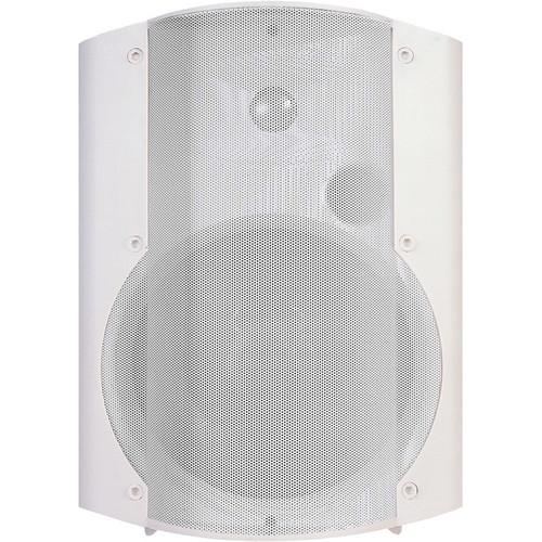 OWI Inc. Self-Amplified, Surface Mount, Low-Voltage Speaker Combo