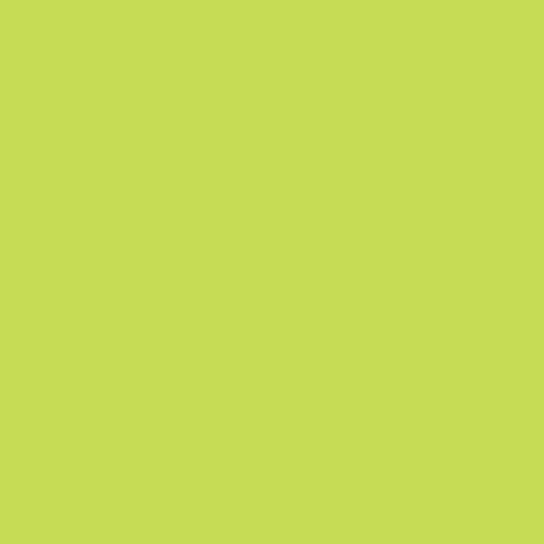 Rosco E-Colour #088 Lime Green