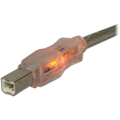 QVS USB 2.0 Male to Male Translucent Cable with Orange LEDs