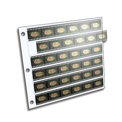 ClearFile Archival Plus Negative Page, 35mm, 6-Strips of 6-Frames - 25 Pack