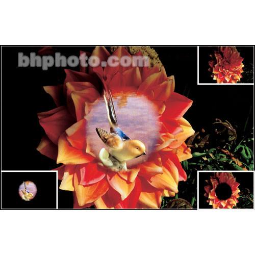 Cokin P342 Double Mask 1 Resin Filter