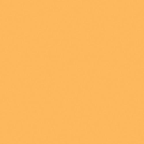 Rosco E-Colour #651 HI Sodium Filter