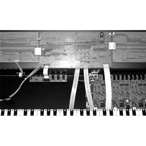 Sequential Poly Evolver Keyboard PE Conversion Kit