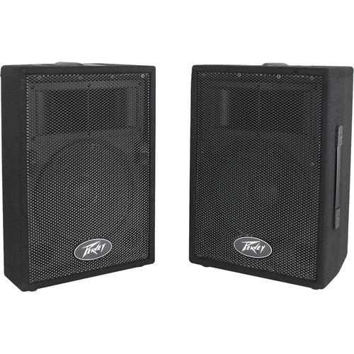 Peavey PVi 10 2-Way Speaker System