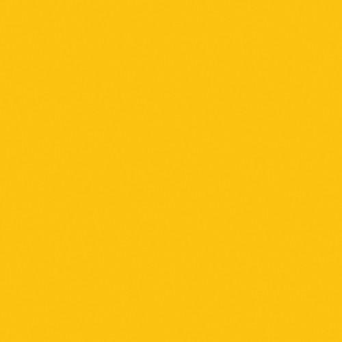 Rosco E-Colour #643 1 4 Mustard Yellow Filter