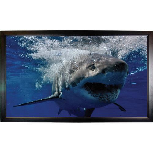 Mustang SC-F106CW169 Fixed Frame Projection Screen