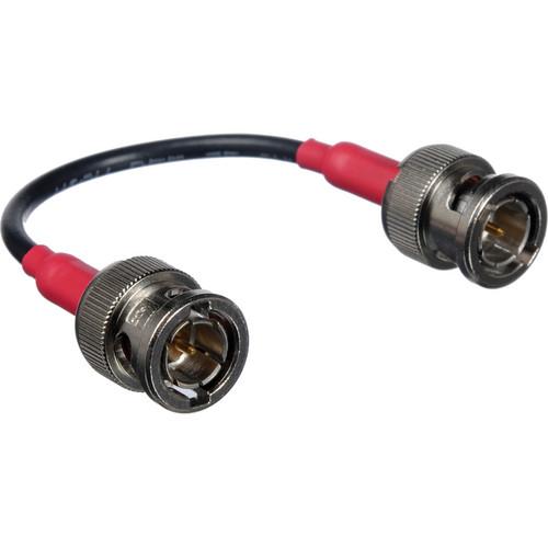 Nebtek 1 BNC Cable & Jack for Odyssey7 Power Bracket