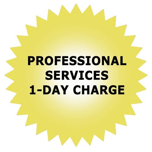 Promise Technology Professional Services 1-Day Charge