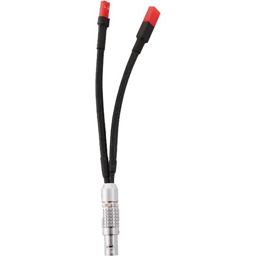 Paralinx JST-RCY to 2-Pin Connector Power Cable