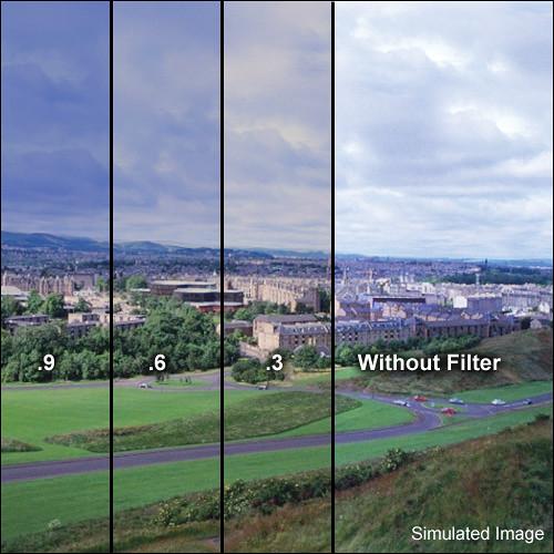 LEE Filters 100 x 150mm Combination 81EF and 0.3 Soft-Edge Graduated Neutral Density Filter