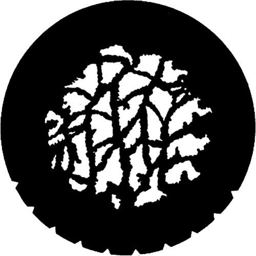 Rosco Standard Steel Gobo #7271 - Twigs - Size B 86mm