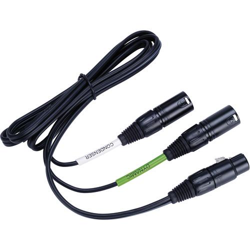 Lewitt DTP 40 Trs - 5-Pin XLR Female to Dual 3-Pin XLR Male Audio Cable