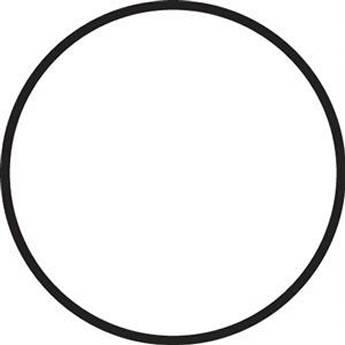 Fantasea Line Main Silicone O-Ring for FP7100 and FP7000 Underwater Housings