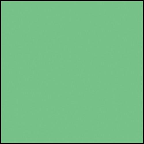Rosco Permacolor Glass Filter - Industrial Green - 5-1 4" Round