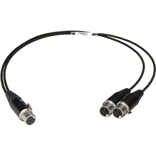 Ambient Recording VSL-2TA3 TA5F to Dual TA3F Cable for V-Slot System