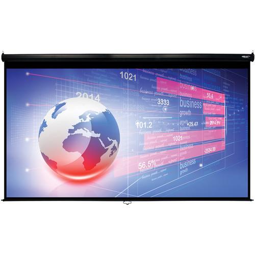 HamiltonBuhl WS-W74131 74 x 131" Manual Projection Screen