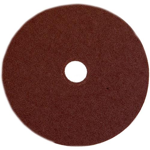 Logan Graphics 10" Replacement Sanding Disk for F200-2 Sander