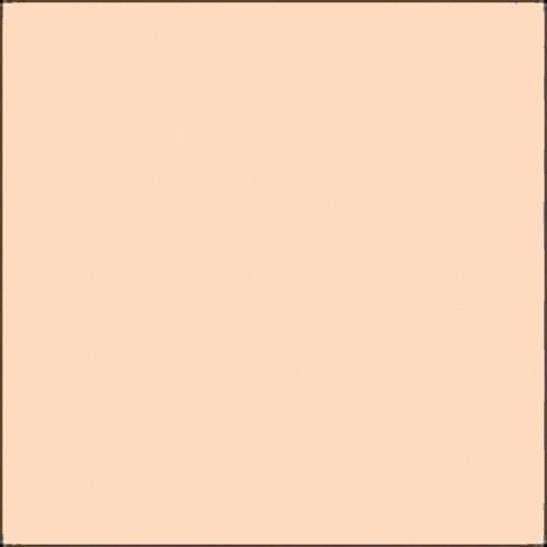 Gam GC338 GamColor Forever Amber Colored Cine Filter #338