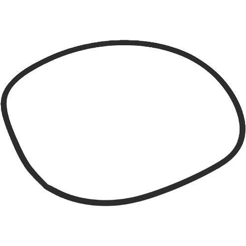 Ikelite O-Ring for Substrobe 200