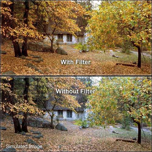 LEE Filters 4x4" Combination 81 and CC05R Red Resin Filter