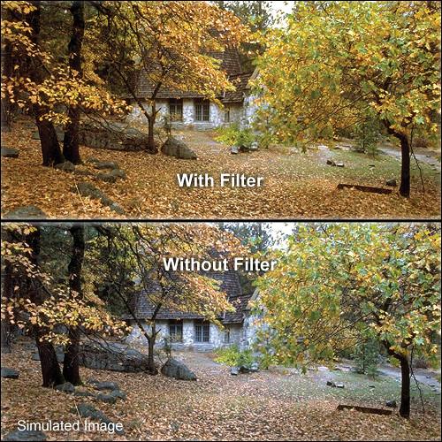 LEE Filters 4x4" Combination 81A and CC075R Red Resin Filter