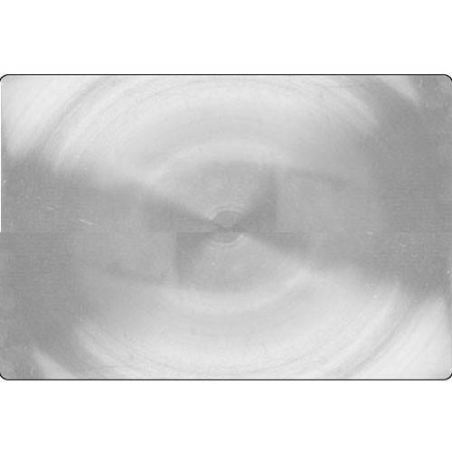 Linhof 2x3 Fresnel Screen