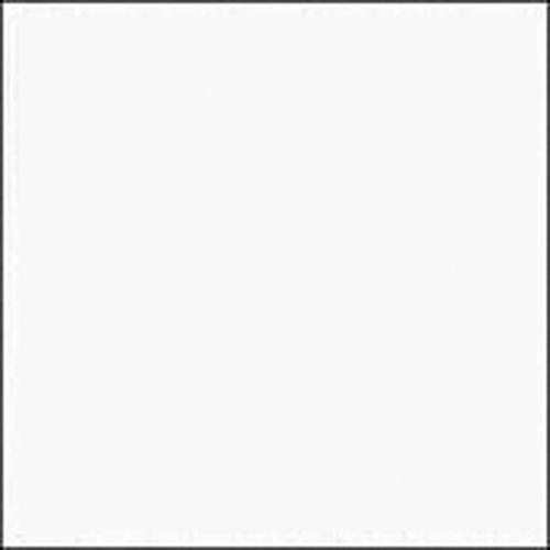 Rosco E-Colour #228 Brushed Silk