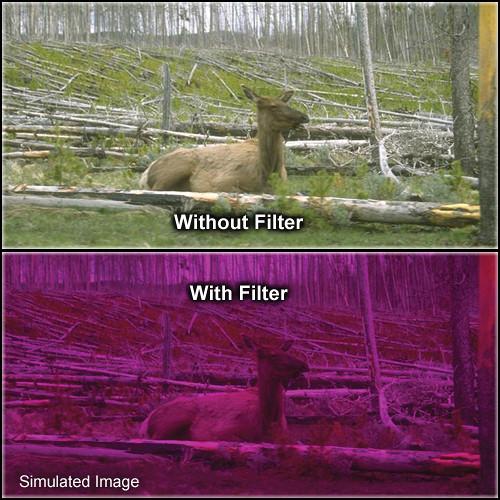 Tiffen 4 x 5.65" 3 Plum Solid Color Filter