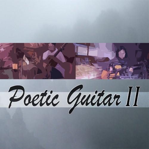 Best Service Poetic Guitar 2 - Virtual Guitar Plug-In