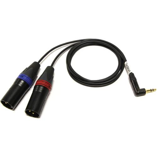 Cable Techniques 3.5mm TRS Right Angle to Two 3-Pin XLR Male Tape Output Y-Cable Adapter for Sound Devices