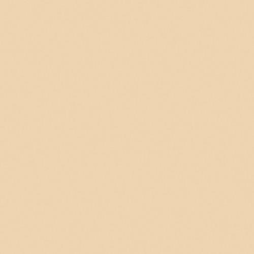 Rosco OPTI-FLECS Golden Bronzer Filter