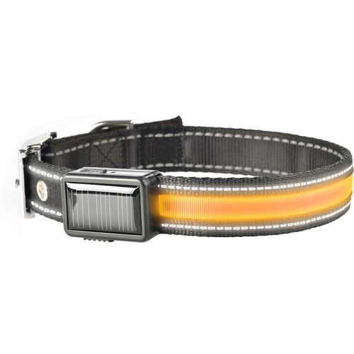 Brite-Strike Solar USB Lighted Dog Collar