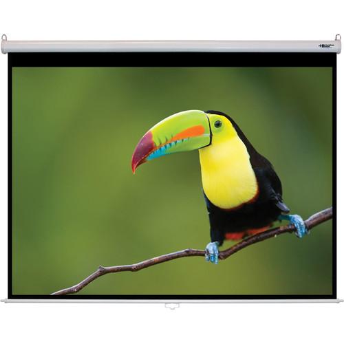 HamiltonBuhl WS-W7296 72 x 96" Manual Projection Screen