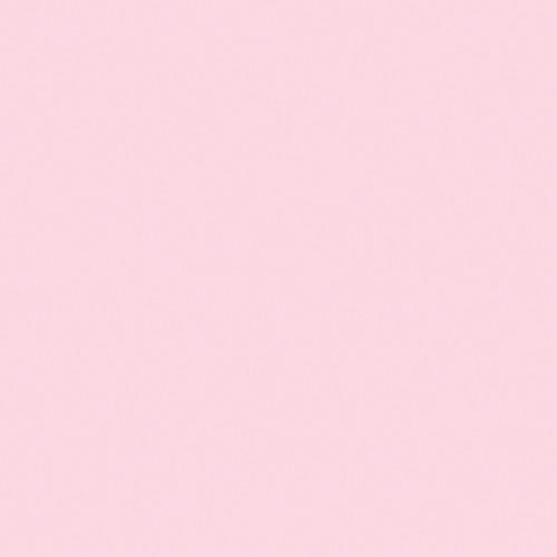 Rosco OPTI-FLECS 1 4 Minus Green Filter