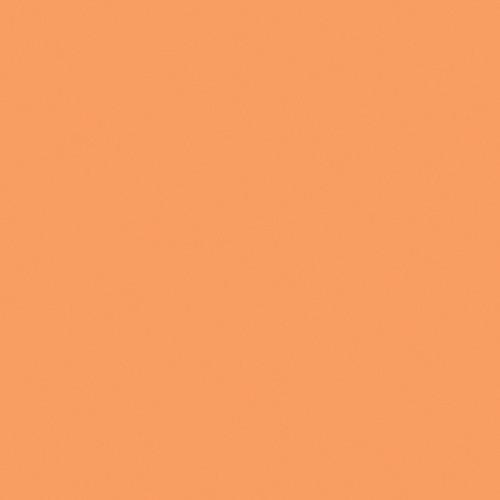 Gam GC1549 1 2 CTO Orange Cine Filter