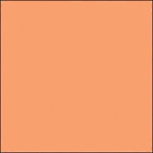 Gam GCA325 GamColor Bastard Amber Colored Cine Filter #325
