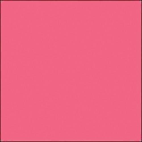 Gam GCJR190 GamColor #190 Cold Pink