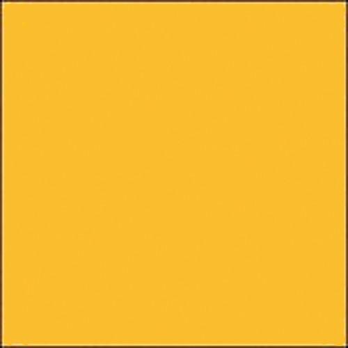 Gam GCJR450 GamColor Colored Cine Filter #450