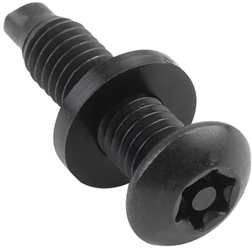 Raxxess Pin Torx Security Screws PNTX-50