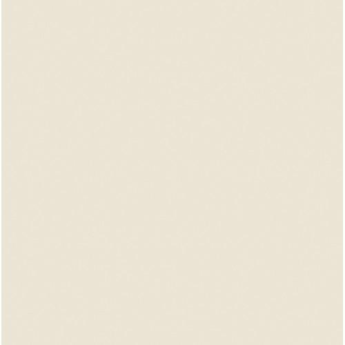 Rosco #3410 RoscoSun 1 8 CTO Fluorescent Sleeve T12