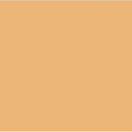 Rosco #3411 RoscoSun 3 4 CTO Fluorescent Sleeve T12