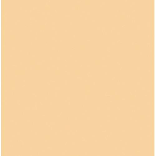 Rosco #3442 1 2 Straw CTS Fluorescent Sleeve T12