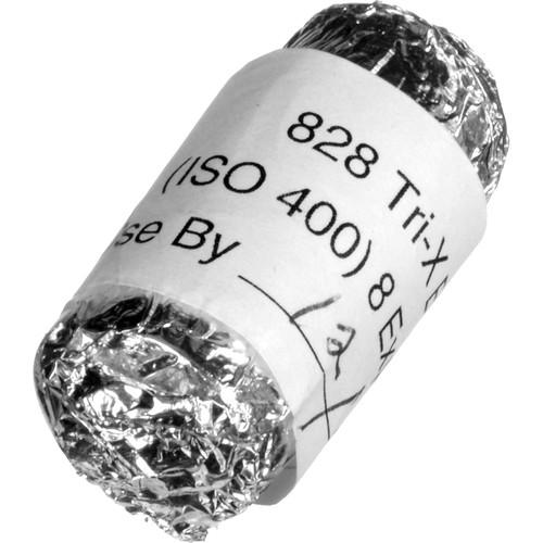 Kodak Professional Tri-X 400 Black and White Negative Film