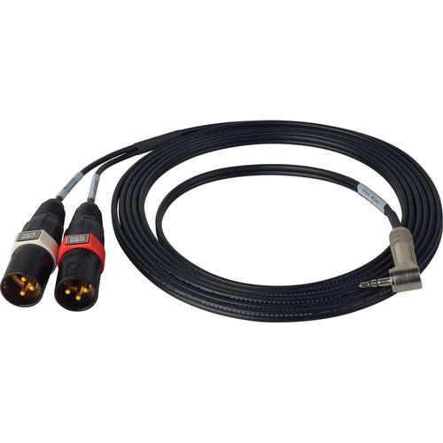 Sescom SES-DSLR-ST-MIC XLR Stereo Mic to DSLR Audio Input Adapter Cable